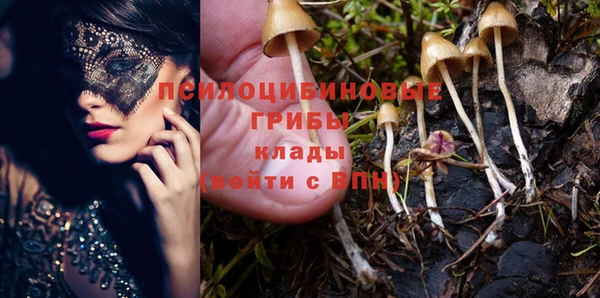 мескалин Вязьма