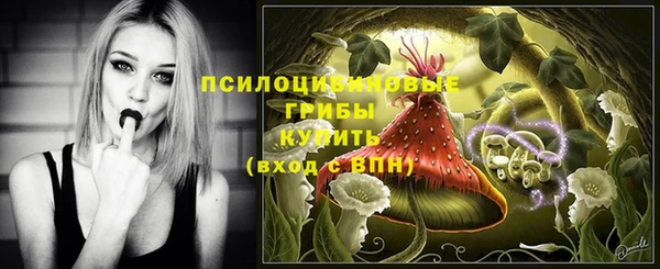 spice Вяземский