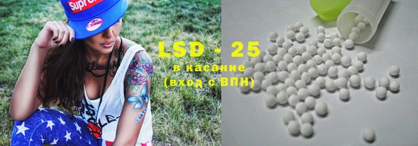 индика Пролетарск