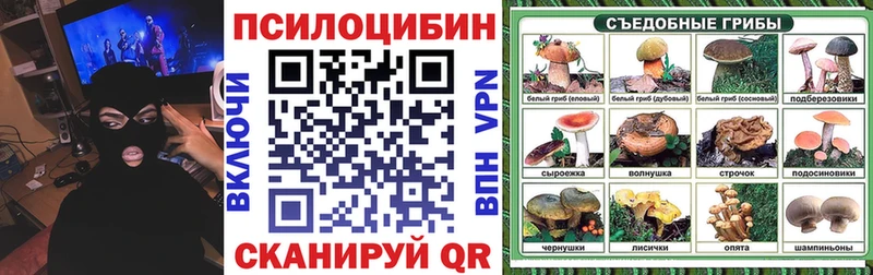 закладка Калач-на-Дону МЕГА ONION Псилоцибиновые грибы Psilocybe