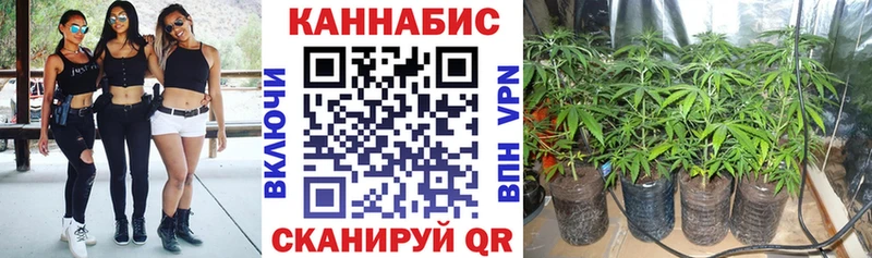 Марихуана планчик Калач-на-Дону